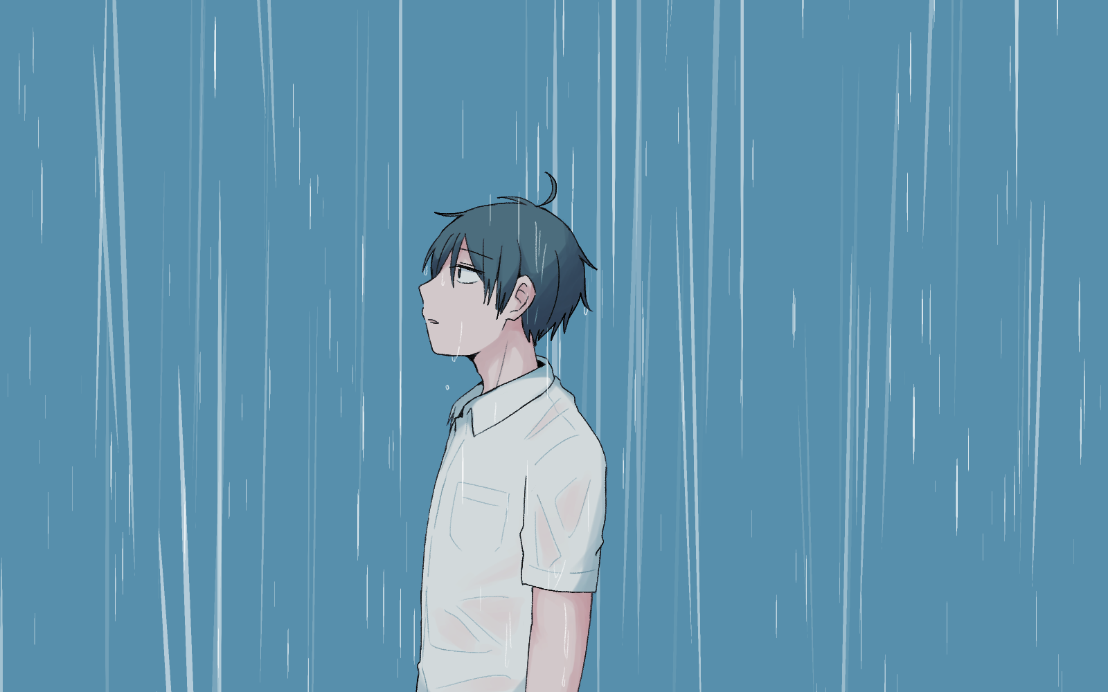 雨と望